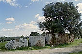 Selinunte Cave di Cusa. The quarry utilized for temple columns, today it is still possible to observe blocks and drums at different stages of preparation. 